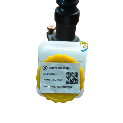 سوق جنوب آسيا أسطوانة العقدة الرئيسية Dz93189230090 لشاحنة شاكمان F3000/F2000/M3000