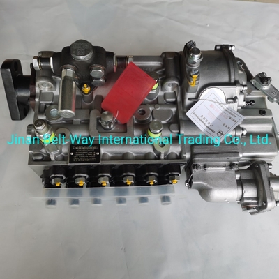 Sinotruk HOWO شاحنات قطع الغيار مضخة حقن الوقود Vg1560080021 مع دعم الدفع بالدولار الأمريكي