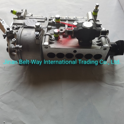 Sinotruk HOWO شاحنات قطع الغيار مضخة حقن الوقود Vg1560080021 مع دعم الدفع بالدولار الأمريكي