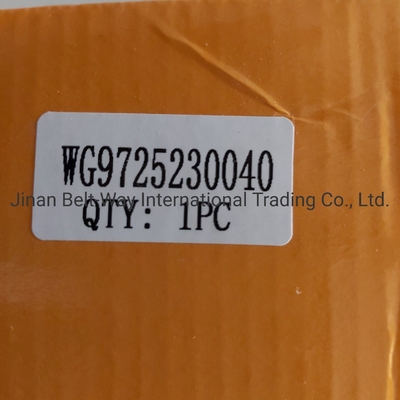 أجزاء نظام الفرامل Wg9725230040 أسطوانة دعم المشبك للشاحنة Sinotruk HOWO OEM