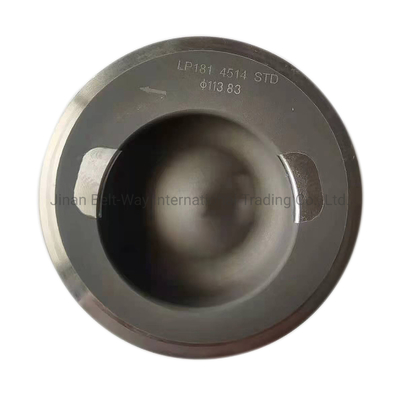 أجزاء نظام ناقل العدادات 240HP كامينز 6CTA محرك قطع غيار البستون 3919565