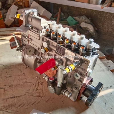 المطبقة للشاحنة HOWO 371/Shacman F3000/F2000/M3000 مضخة حقن وقود المحرك Vg1560080022