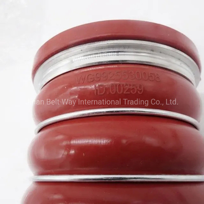 0.6 كيلوغرام من خرطوم مطاطي لـ Sinotruck HOWO قطع غيار الشاحنات Wg9925530058